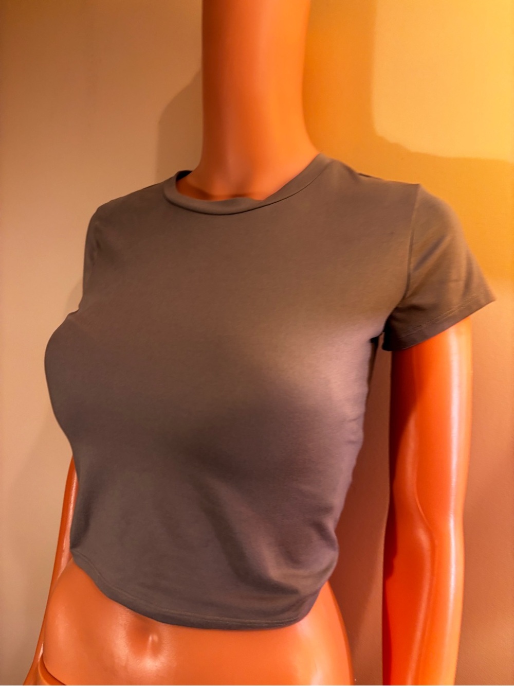Hollister Gray Short Sleeve Crewneck Crop Top